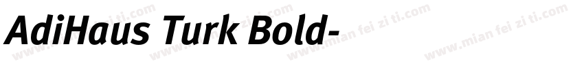 AdiHaus Turk Bold字体转换